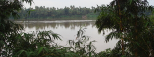 nagarjunaayurveda